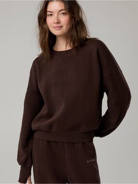 OFFLINE BY AERIE CLOUD CREWNECK SWEATSHIRT BROWN S